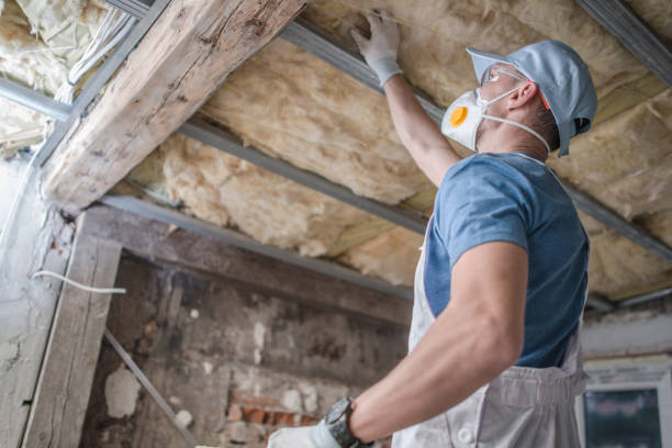 Best Insulation Installation Services in Mlstadt, IL