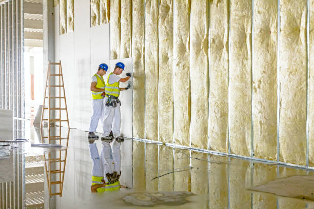 Best Specialty Insulation in Mlstadt, IL
